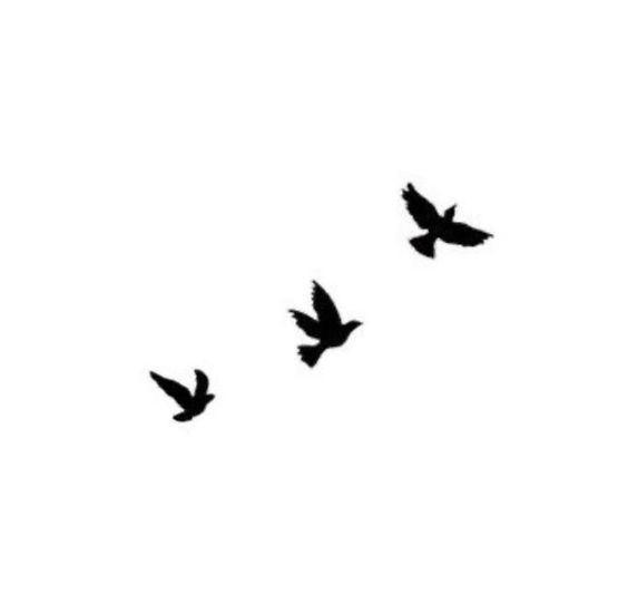 Silhouette of three flying birds on a white background, symbolizing freedom and nature.