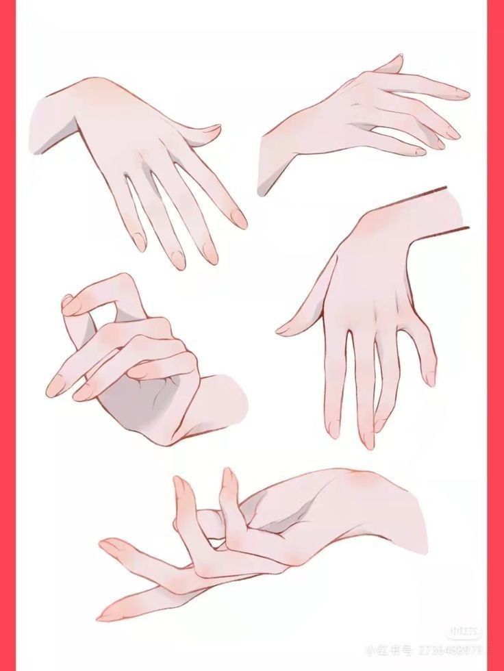Drawing Arms hands Illustrated hand poses on a white background with a red border, showcasing diverse finger positions for drawing reference or | Sky Rye Design Illustrated hand poses on a white background with a red border, showcasing diverse finger positions for drawing reference or