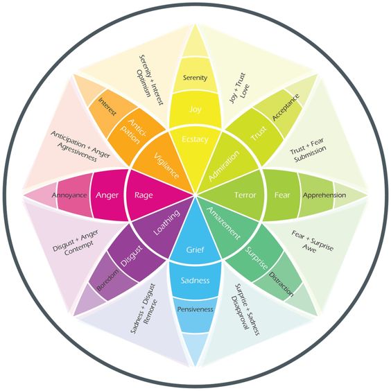 Colorful emotion wheel chart displaying a range of human emotions from ecstasy to grief. Wheel shows primary and secondary emotions.