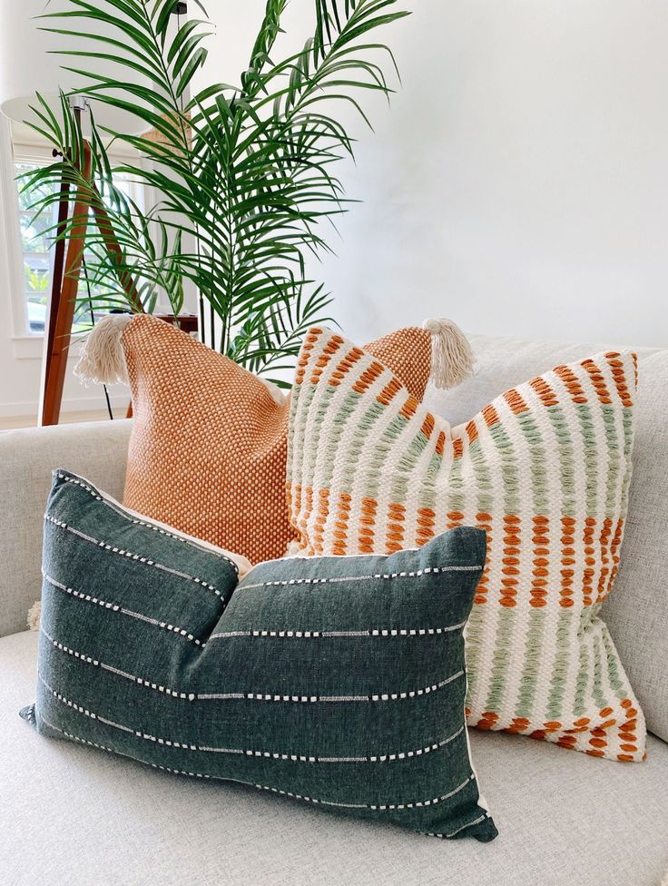 Three stylish throw pillows on a beige couch with a green indoor plant in the background, adding a cozy decor touch.