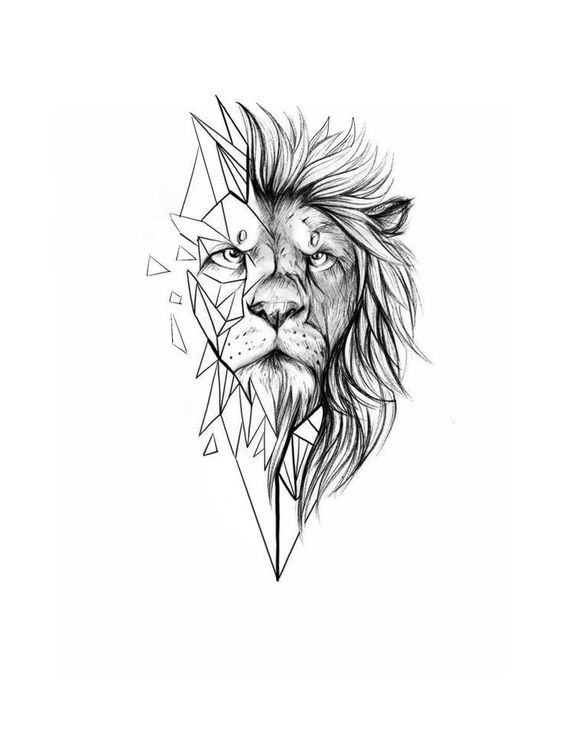 Geometric lion head drawing, split with intricate lines and polygon shapes, showcasing detailed artistic design.