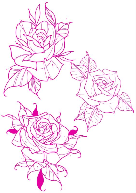 Pink line art illustrations of three detailed roses with leaves, perfect for tattoo design or floral artwork inspiration.