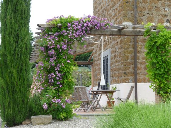 Quaint outdoor seating area with a wooden pergola covered in blooming purple flowers in a charming garden setting.