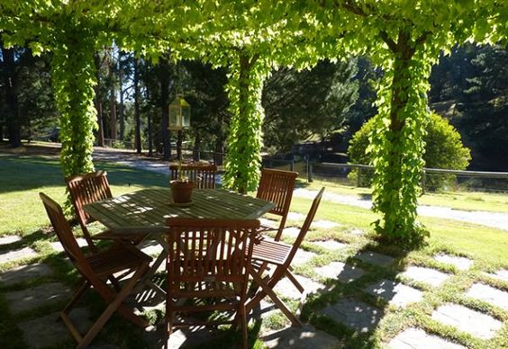 Wooden outdoor dining set under a leafy pergola in a sunlit garden, ideal for relaxing and enjoying scenic nature views.