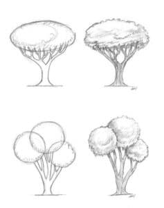 12 Tree Drawing Tips That Actually Work (2026 Guide)