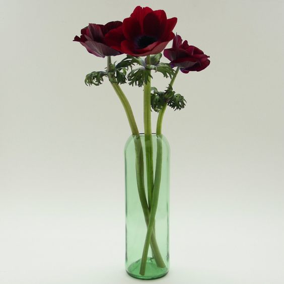 Red anemone flowers in a green glass vase against a neutral background, showcasing simple and elegant floral decor.