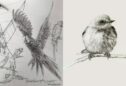 Bird Drawing: A Guide to Techniques and Styles