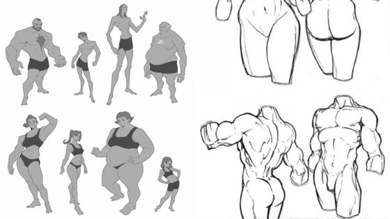 Illustration of various muscular body types and poses for character design reference, including both male and female forms.