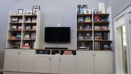 Modern living room with built-in bookcases, TV mounted on the wall, and white cabinets below the shelves filled with books and decor.