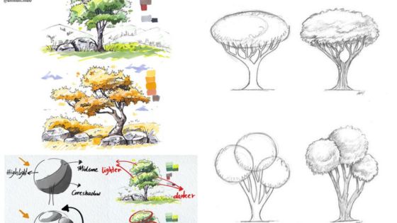 Tree drawing techniques and shading guide showcasing different tree styles, color palettes, and lighting effects.