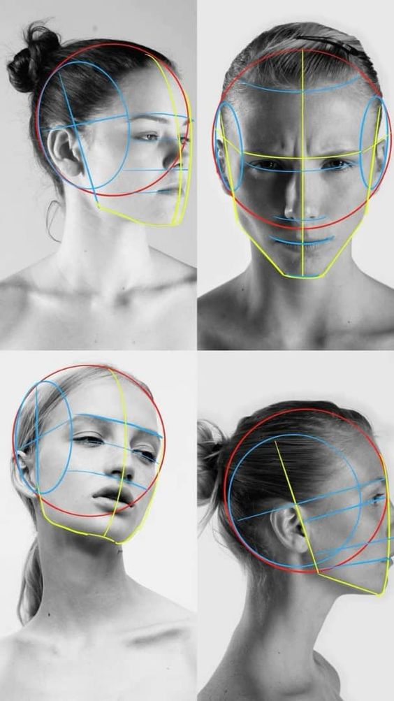 Grid overlay on four monochrome face images for art study, showing different angles and proportions of the human head.