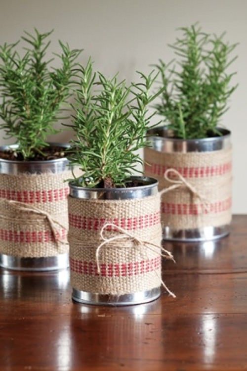 Three rosemary plants in DIY tin can planters wrapped with burlap and red-striped ribbon on a wooden surface.