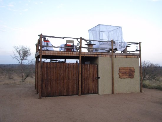 Luxury African safari lodge with elevated open-air bedroom and mosquito net overlooking vast savanna, perfect for a unique wildlife experience.