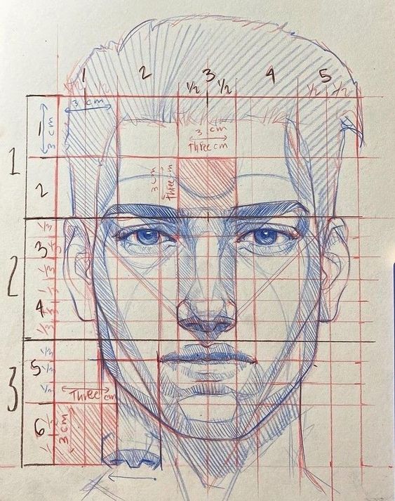 Head drawing with proportional grid overlay showing detailed facial structure measurements.