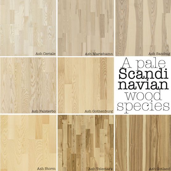 Various shades of pale Scandinavian ash wood species, featuring Ash Ceriale, Mariehamn, Sandvig, Falsterbo, Gothenburg, Storm, and Gotland.