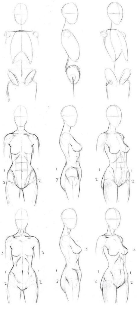 Step-by-step female body drawing guide, showcasing front and side perspectives. Ideal for beginner artists.