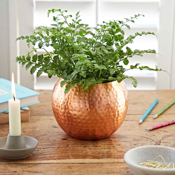 Indoor fern in a textured copper pot on wooden table with candle, books, and pencils; cozy home decor.