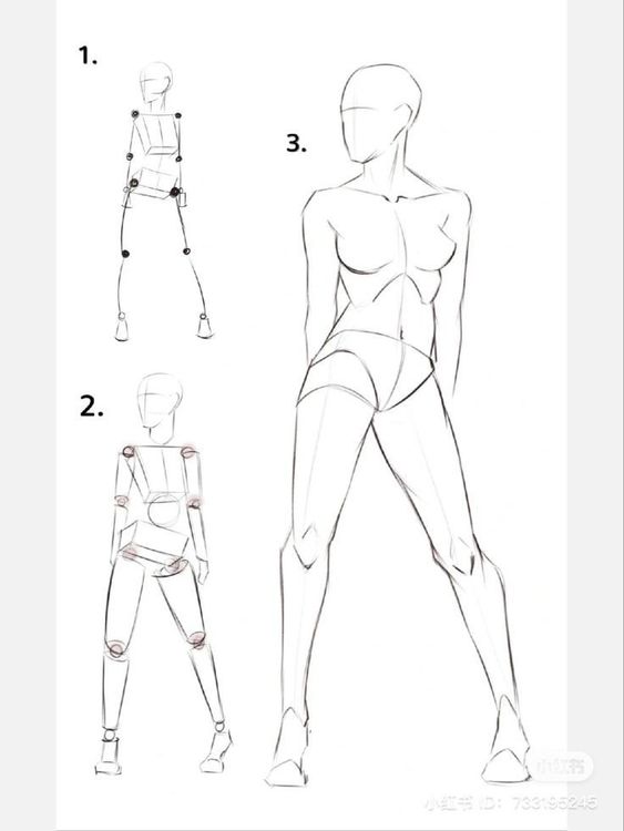 Step-by-step guide to drawing a human figure: 1. Skeleton outline, 2. Basic shapes, 3. Detailed form.