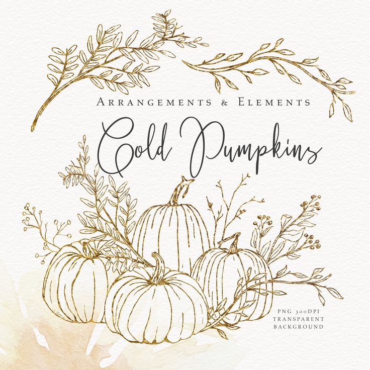 Elegant fall-themed illustration of pumpkins and foliage for seasonal arrangements and elements titled 'Cold Pumpkins'.