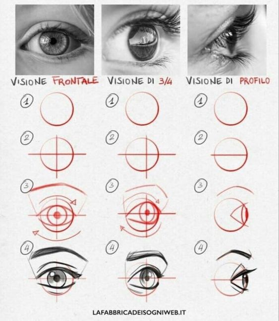 Step-by-step eye drawing guide: frontal, 3/4, and profile views with photos and diagrams, labeled in Italian.