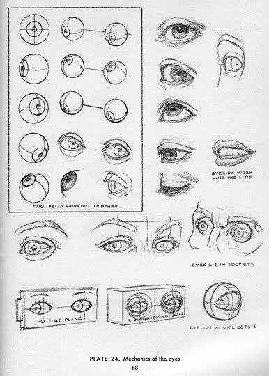 Sketches illustrating the mechanics of human eyes, showcasing eyelids, eye sockets, and the movement of eyeballs.