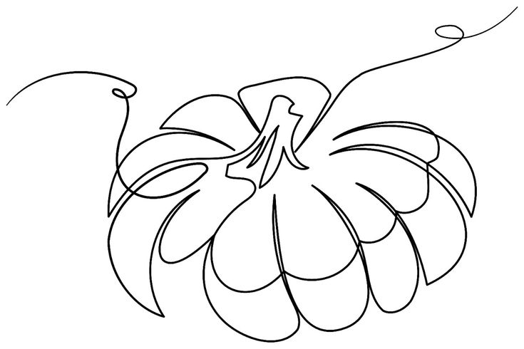 Simple continuous line drawing of a pumpkin with trailing vines, illustrating minimalist art of a fall harvest vegetable.