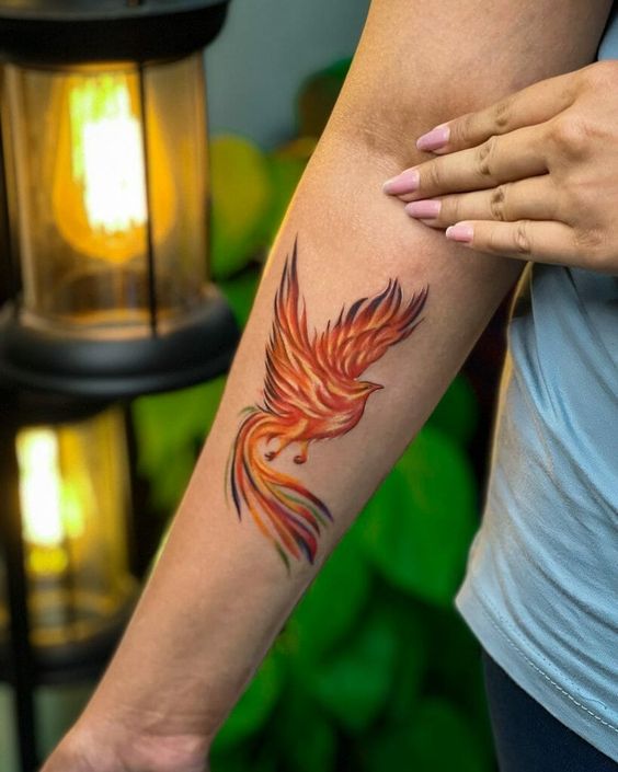 Forearm tattoo of a vibrant orange phoenix in a natural setting with green foliage and warm lights in the background.