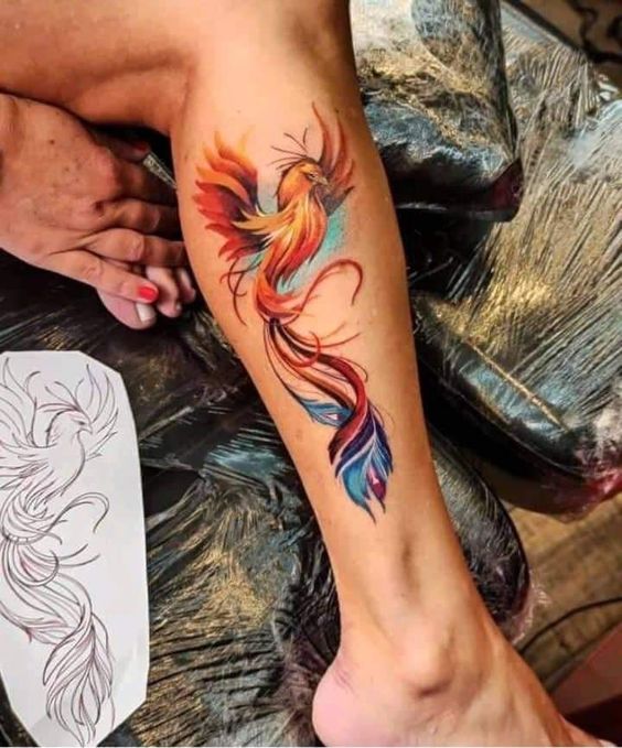 Colorful phoenix tattoo on leg, showcasing vibrant orange, red, and blue feathers. Tattoo stencil visible nearby.