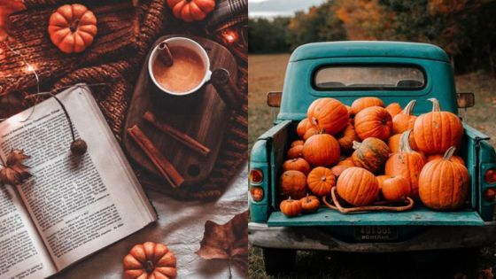 Autumn scene with a cozy book, hot drink, and pumpkins, paired with a vintage truck filled with harvest pumpkins in a field.