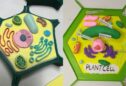 Creating a Plant Cell 3D Model: A Hands-On Learning Experience