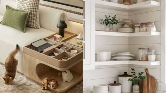 Modern living room and kitchen shelves with cats, showcasing cozy furniture, organized compartments, and stylish decor.