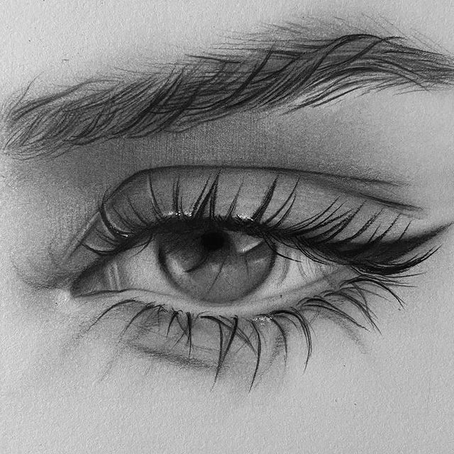 Detailed pencil drawing of a realistic eye with intricate lashes and eyebrows, showcasing artistic skill and attention to detail.