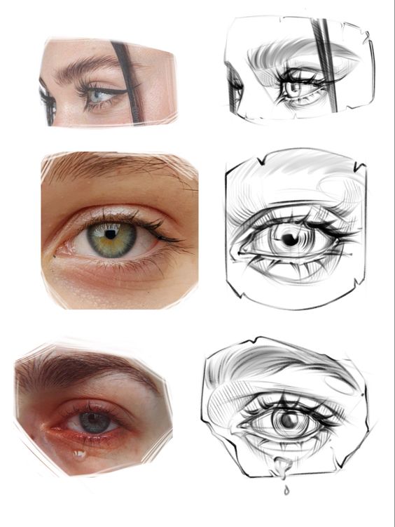 Detailed eye illustrations and sketches showing different styles and techniques in drawing realistic and sketched eyes.