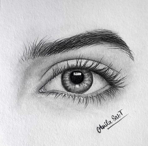 Hyperrealistic pencil drawing of a human eye showcasing detailed shading and texture. Artist signature visible at the bottom.