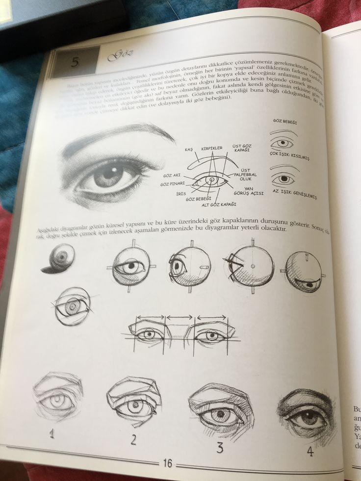 Page from a drawing book on how to sketch realistic eyes with step-by-step illustrations and detailed annotations.