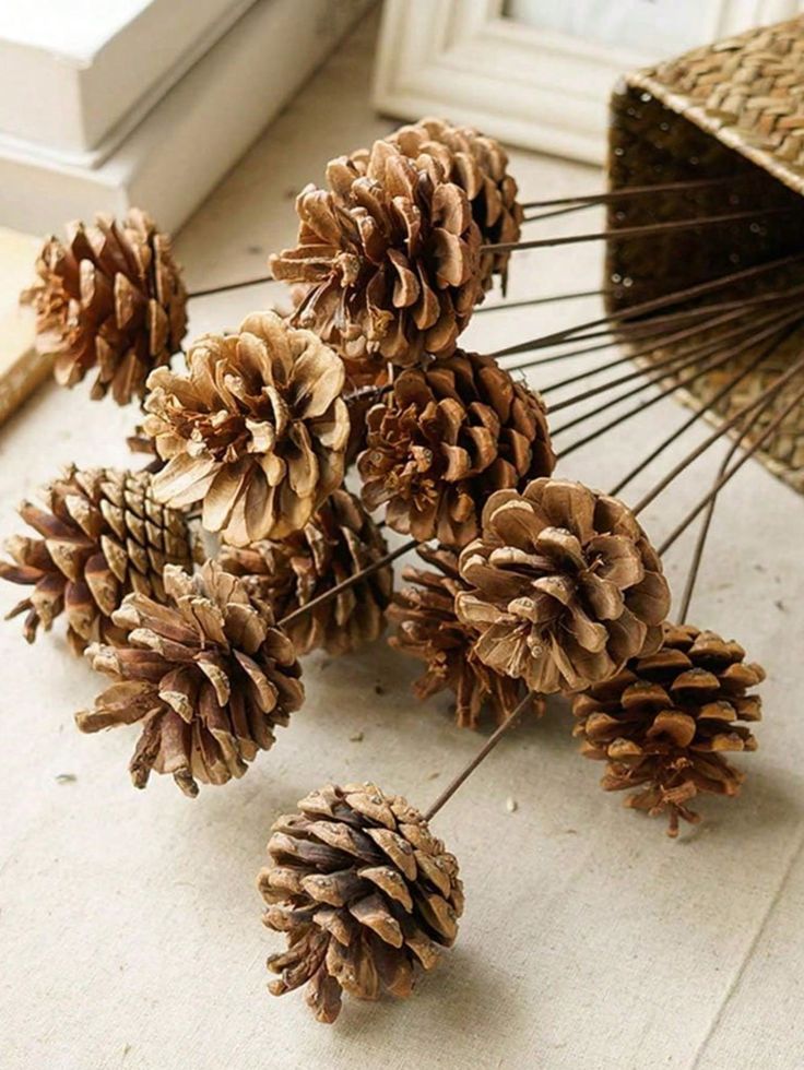 Basket of pine cones on sticks, arranged on a light surface, ideal for rustic home decor or crafts.