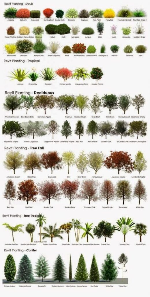 Collage of various plant types: shrubs, tropical, deciduous, fall, tropical trees, and conifers with labeled names.