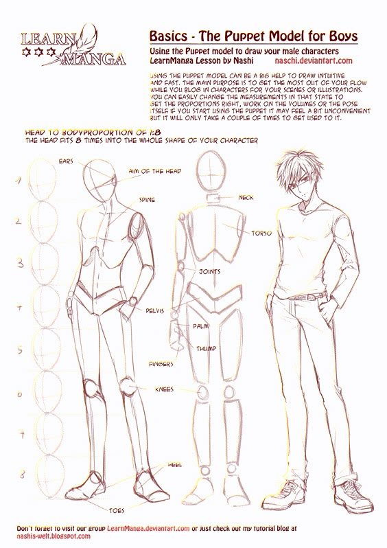 Manga drawing tutorial for boys showing puppet model proportions and guidelines for creating male characters.