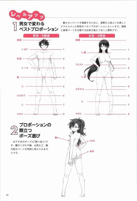 Illustration of male and female body proportions, featuring detailed measurements in Japanese text.