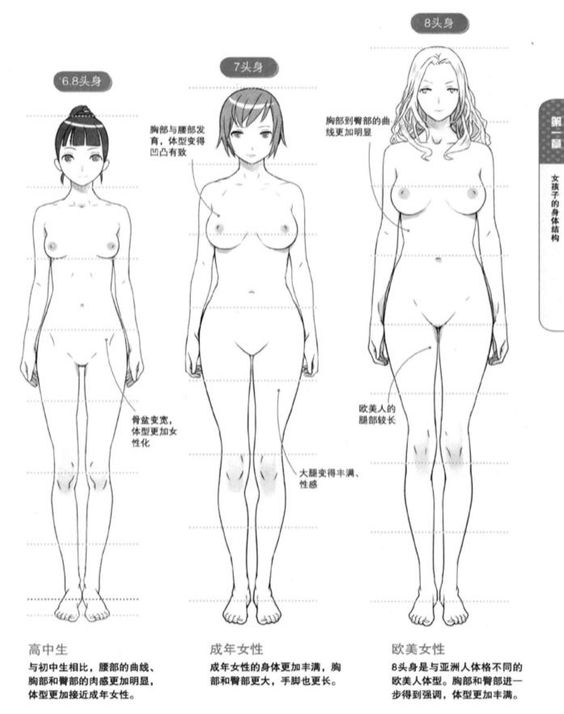 Illustration comparing three female body proportions in different cultural styles.