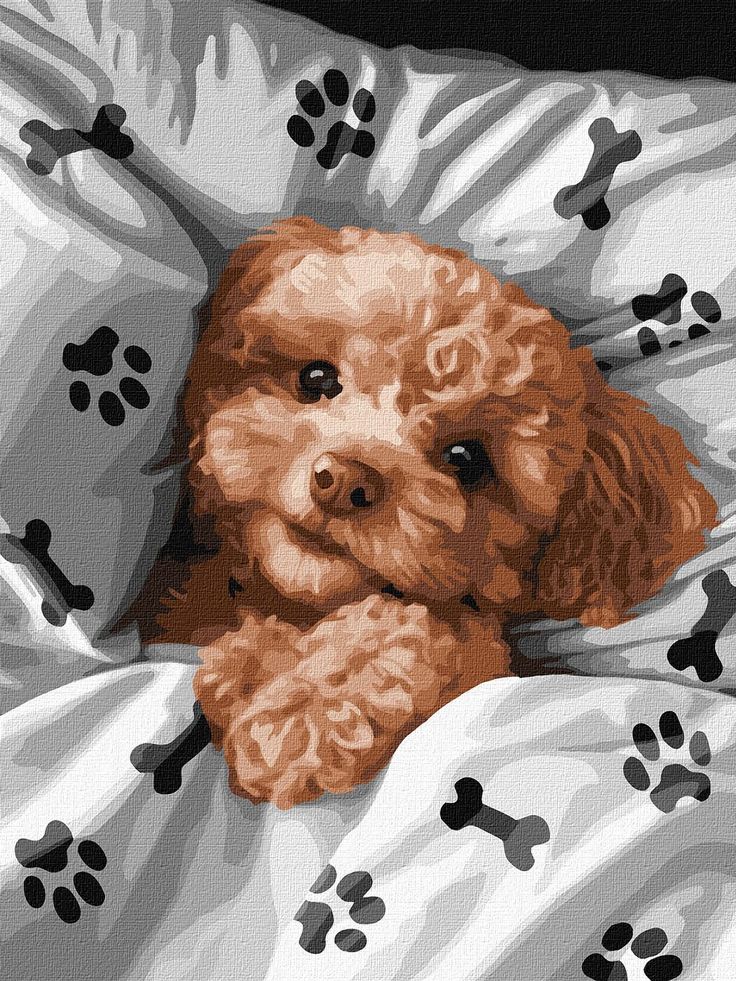 Cute brown dog snuggled in paw-print blanket, looking cozy and adorable.