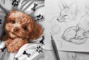 Capturing the Beauty and Character of Animals in Your Drawings: Essential Techniques and Tips for Realistic Results