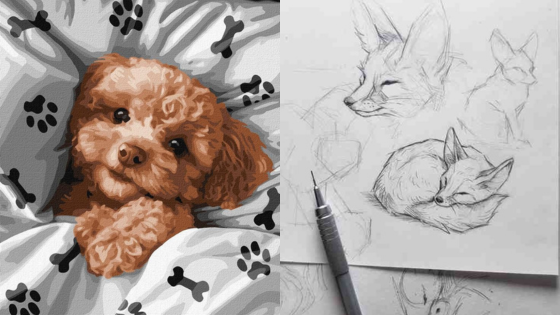 Cute poodle on paw print sheets and pencil sketches of sleeping foxes on paper with a pen nearby.