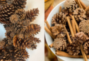 Pinecone Perfection: 5 Delightful Crafts for Rustic Fall Decor