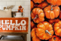 5 Rustic Fall Wood Sign Ideas to Add Warmth and Charm to Your Home Decor