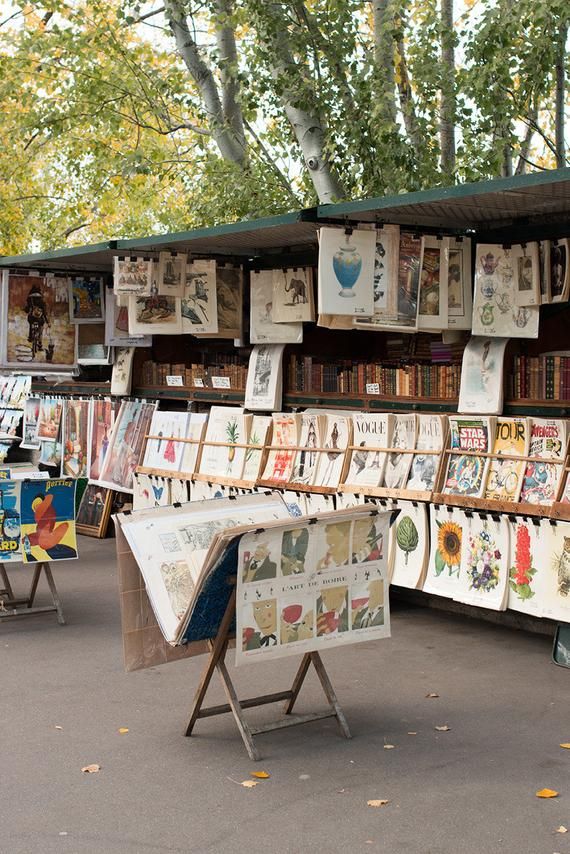 Outdoor vintage book and print stall, featuring colorful posters and books under trees on a bright day.