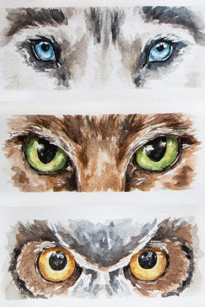 Watercolor illustration of animal eyes: wolf with blue eyes, cat with green eyes, and owl with yellow eyes.