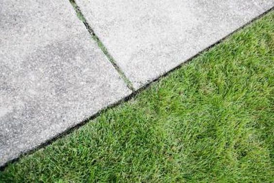 Concrete path next to fresh green grass, showcasing garden landscaping contrast.