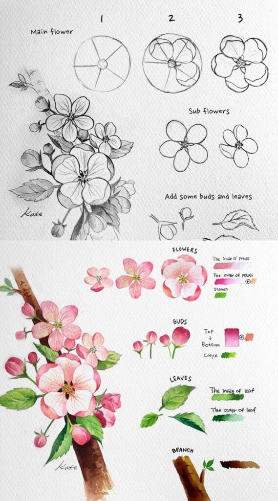 Step-by-step guide to drawing and painting flowers with leaves and buds; includes sketches and watercolor illustrations.