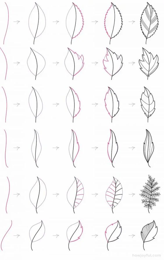 Step-by-step leaf drawing guide, showcasing various types of leaves from simple outlines to detailed illustrations.